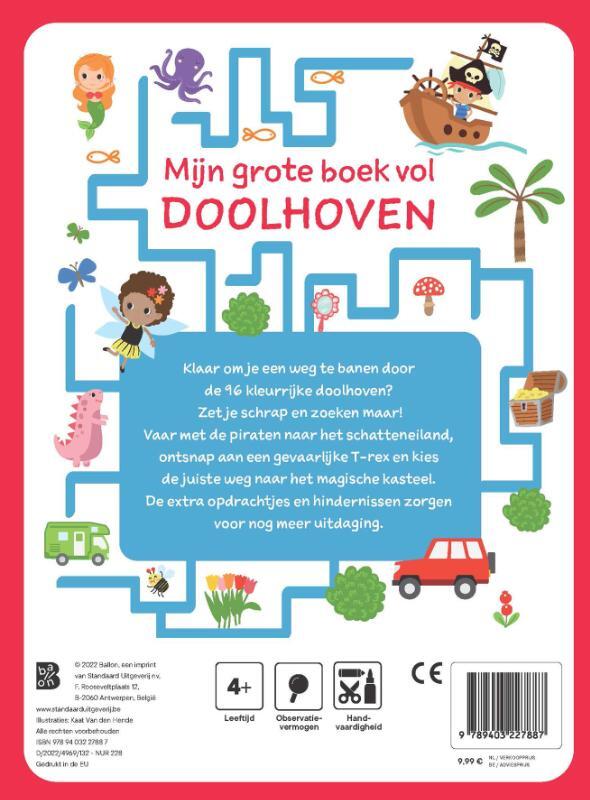 Mijn grote boek vol doolhoven 2