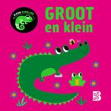 Kleine kameleon 1